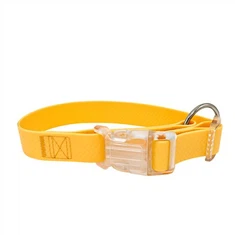 سیاہ پالتو جانوروں کے کالر میں چمک