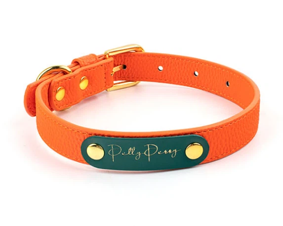 کوالٹی پنجاب یونیورسٹی ڈاگ کالر ڈاگ لیش